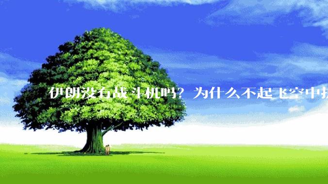 伊朗没有战斗机吗？为什么不起飞空中拼***？